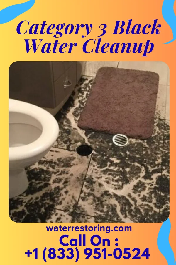 Category 3 Black Water Cleanup in Nashville, IL