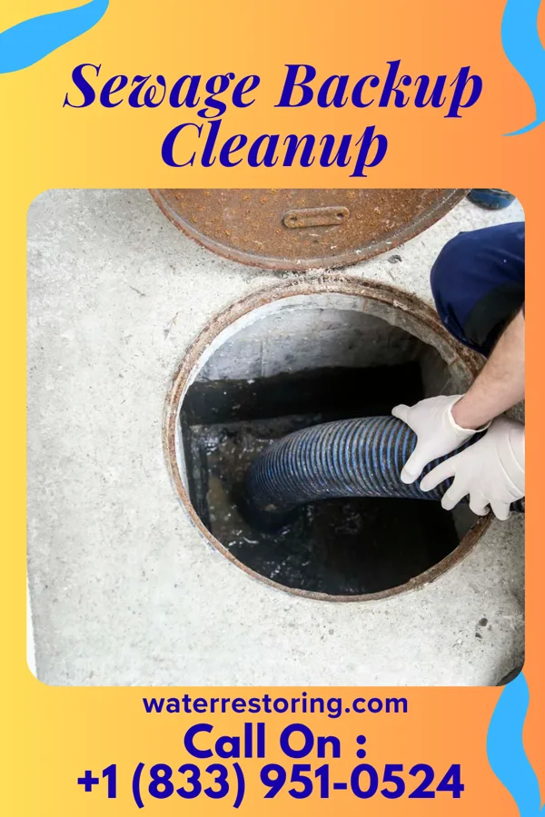 Sewage Backup Cleanup in Nashville, IL