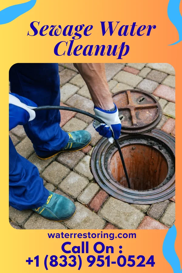 Sewage Water Cleanup in Nashville, IL