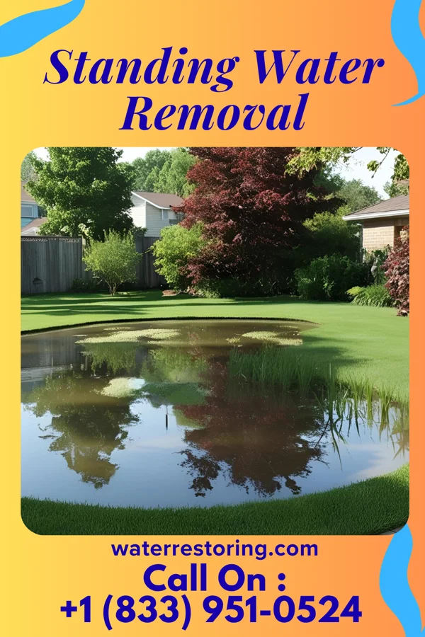 Standing Water Removal in Nashville, IL